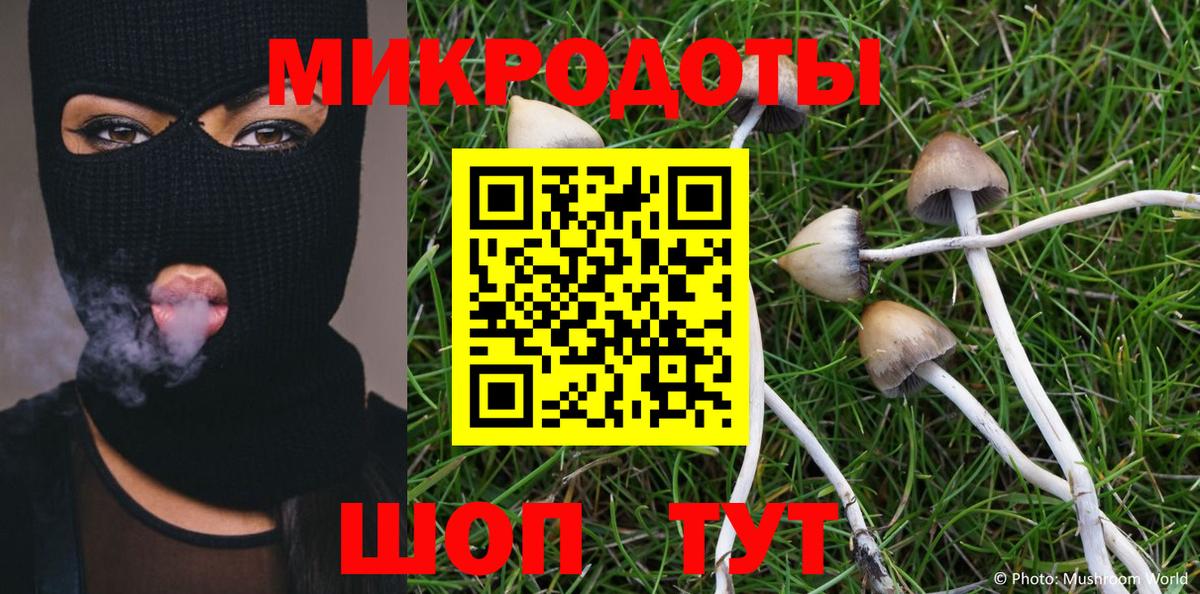 Славгород  Галлюциногенные грибы GOLDEN TEACHER  Галлюциногенные грибы Psilocybe  Вход с VPN 